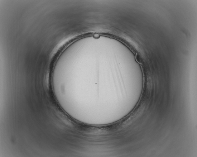 X0000113331270200910131141