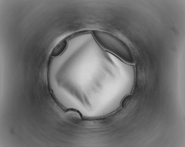 X0000113331272200910131141