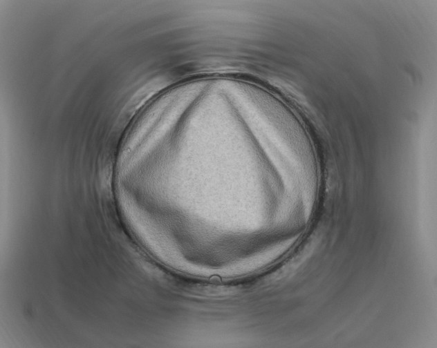 X0000113331273200910131141