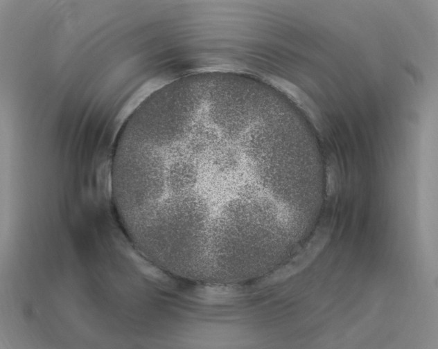 X0000113331274200910131141