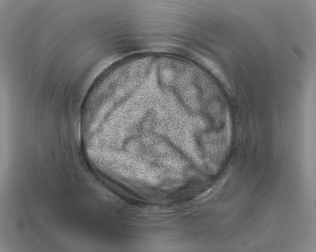 X0000113331275200910131141