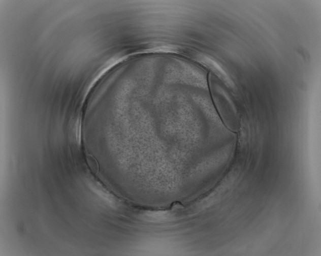 X0000113331276200910131141