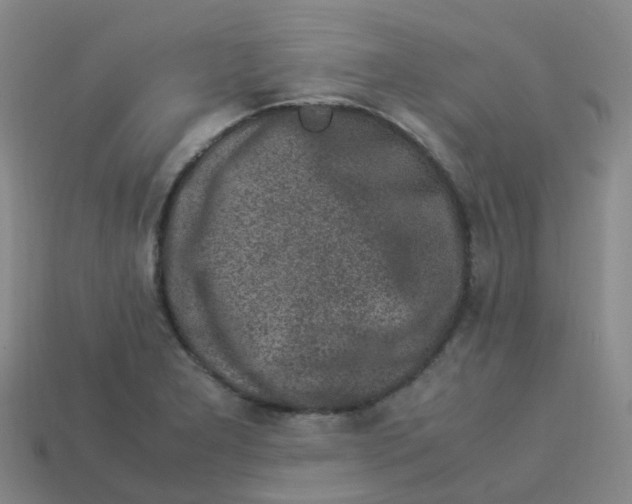 X0000113331277200910131141