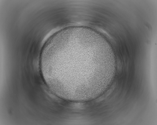 X0000113331278200910131141