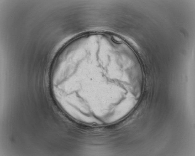X0000113331279200910131141
