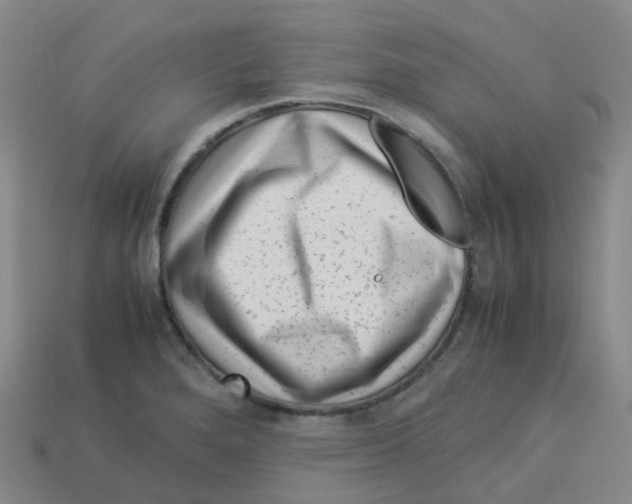 X0000113331280200910131141