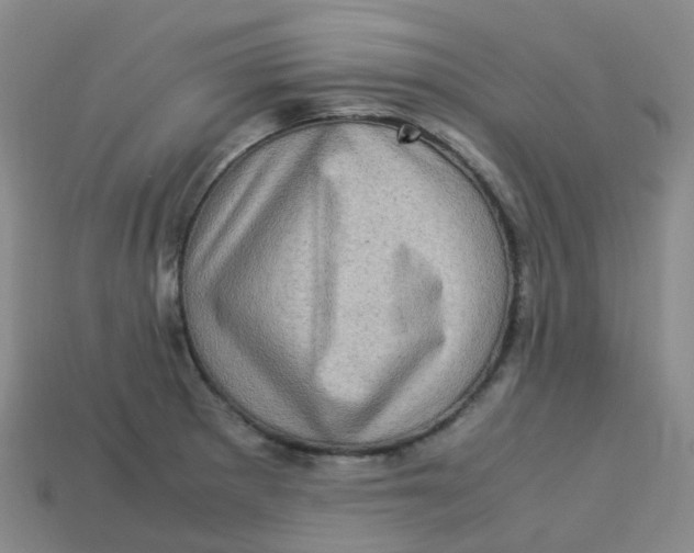 X0000113331281200910131141