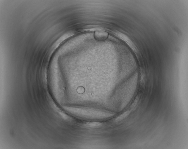 X0000113331282200910131141