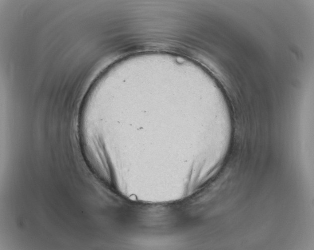 X0000113331283200910131141