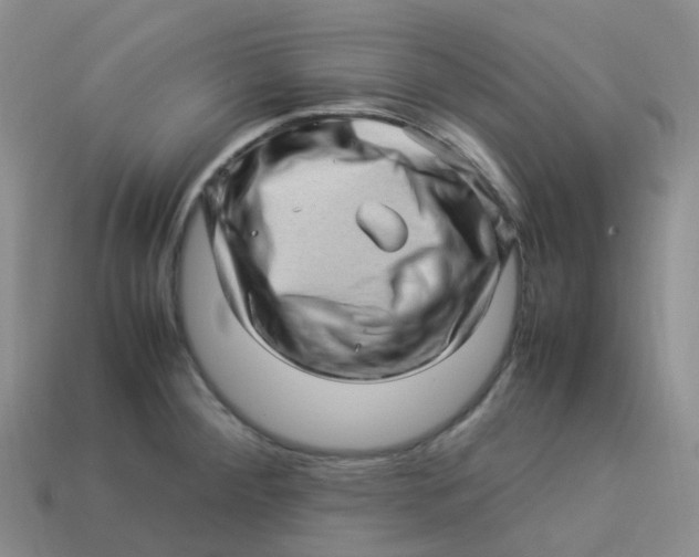 X0000113331284200910131141