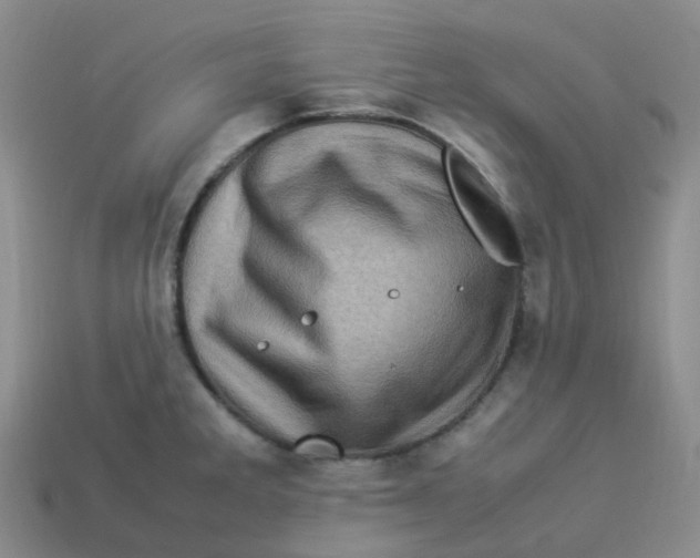 X0000113331285200910131141