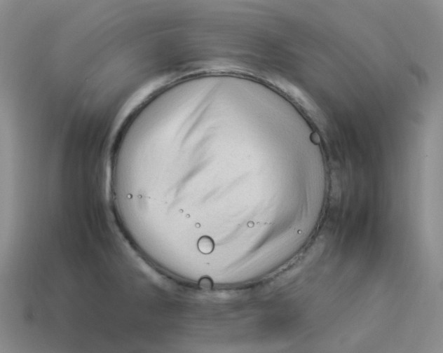 X0000113331286200910131141