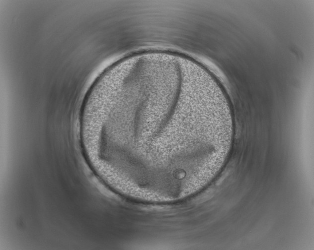 X0000113331287200910131141