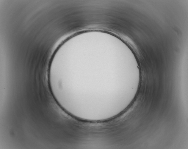 X0000113331288200910131141