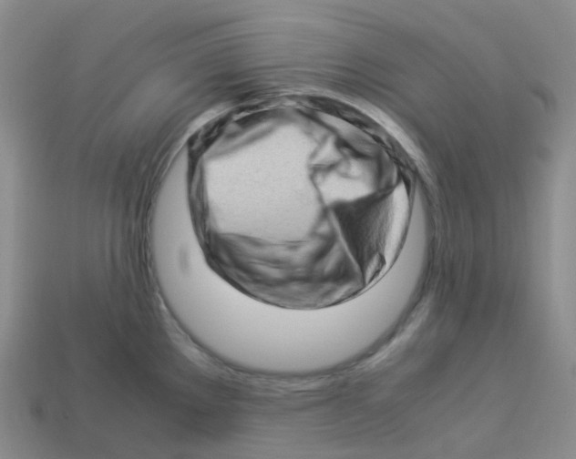 X0000113331289200910131141