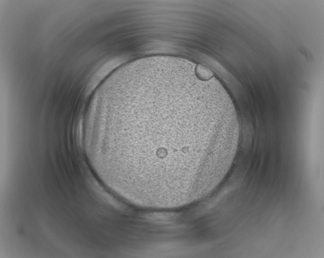 X0000113331290200910131141