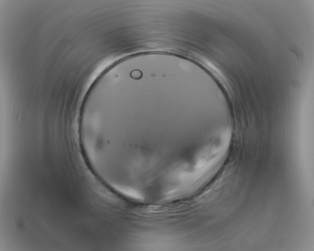 X0000113331291200910131141