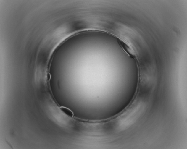 X0000113331292200910131141