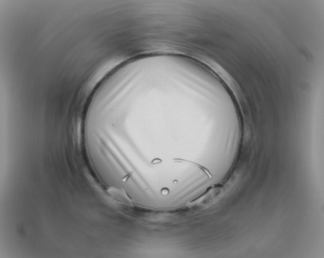 X0000113331293200910131141