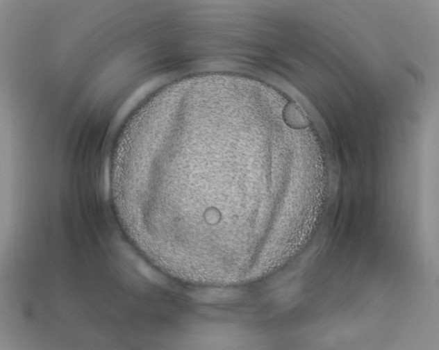 X0000113331294200910131141