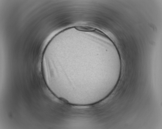 X0000113331296200910131141