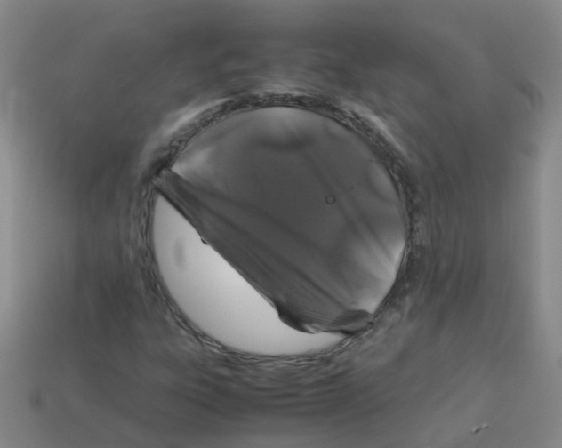 X0000113331303200910131140