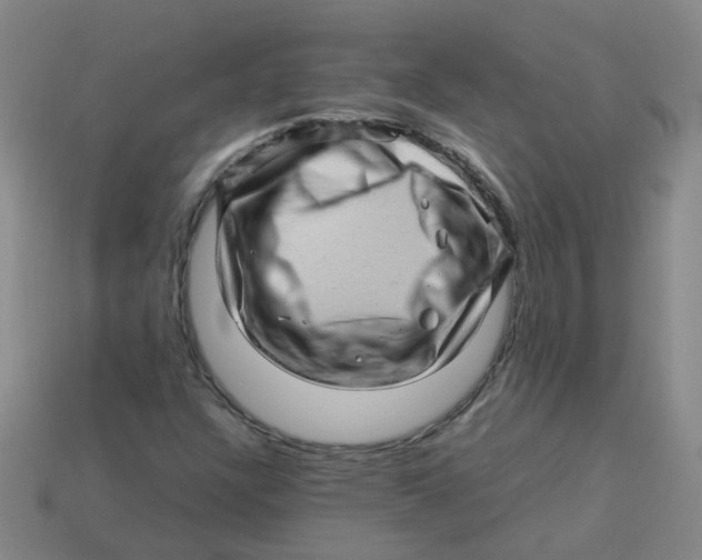 X0000113331304200910131140
