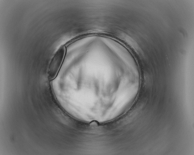 X0000113331308200910131140