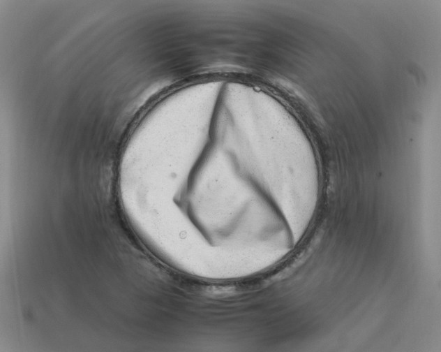 X0000113331313200910131140