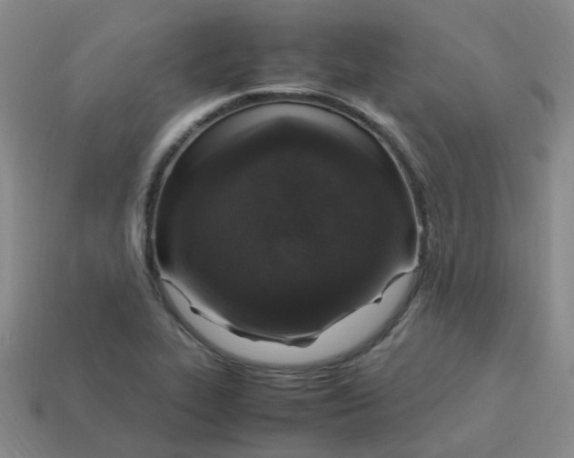 X0000113331319200910131140