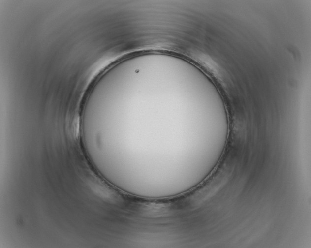 X0000113331324200910131140