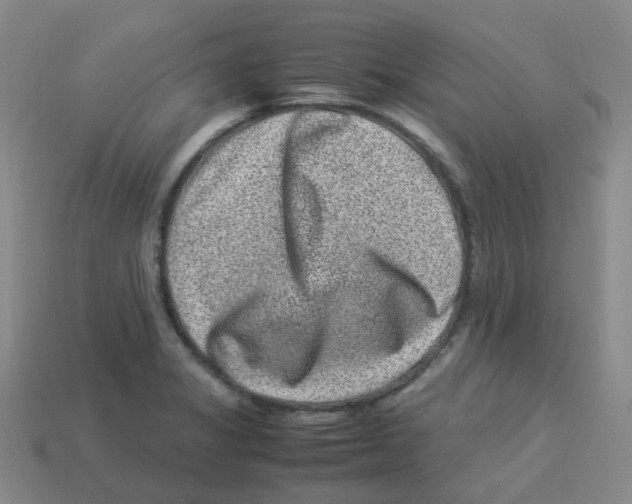 X0000113331325200910131140