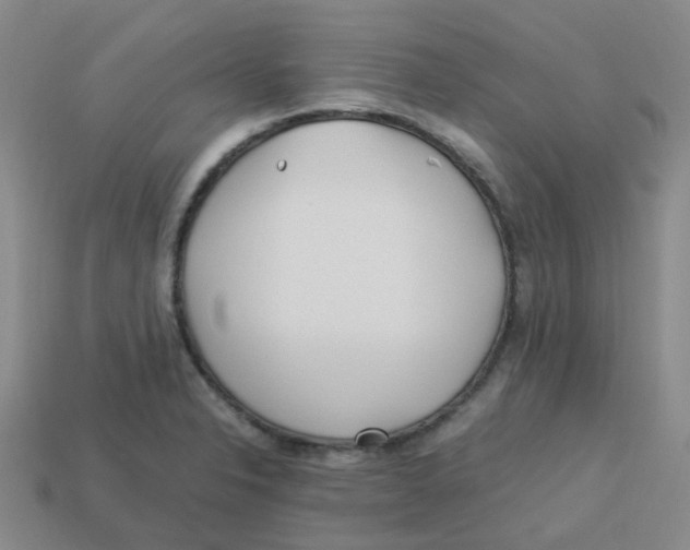 X0000113331326200910131140