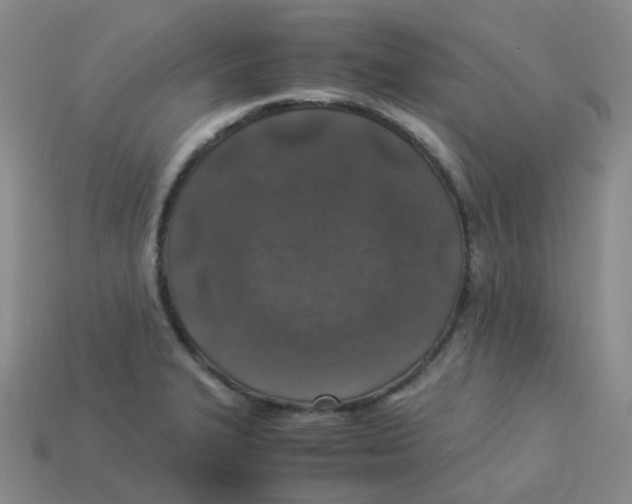 X0000113331327200910131140