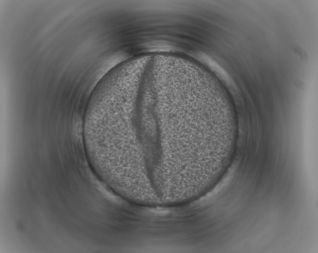 X0000113331329200910131140