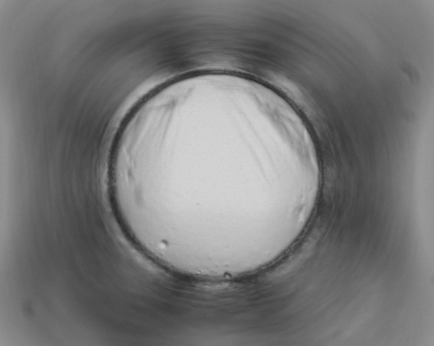X0000113331331200910131140