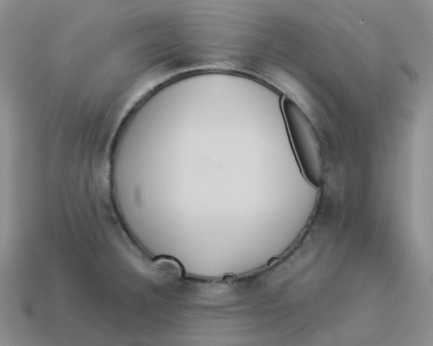 X0000113331332200910131141