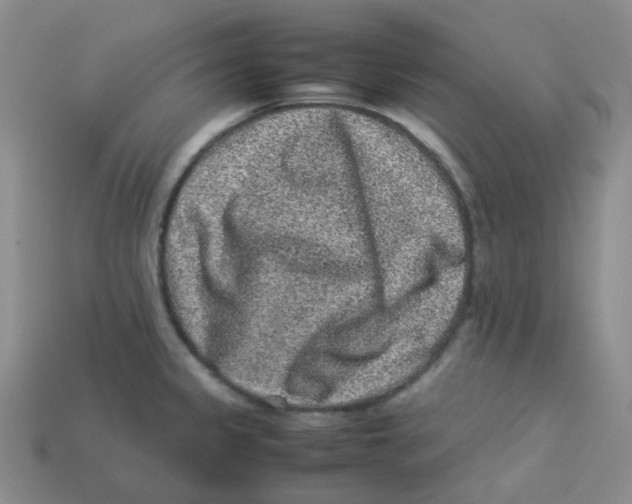 X0000113331333200910131141