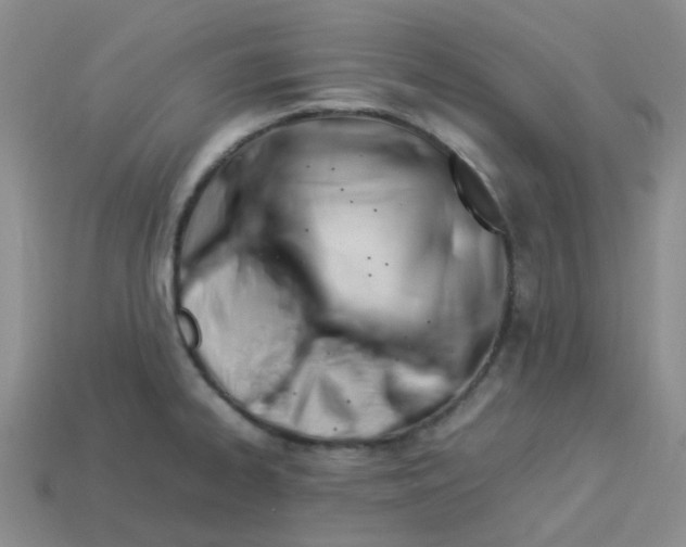 X0000113331334200910131141
