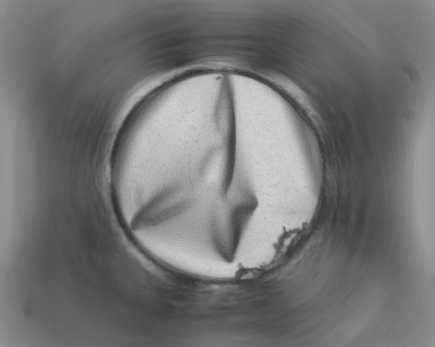X0000113331335200910131141