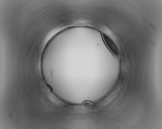 X0000113331336200910131141