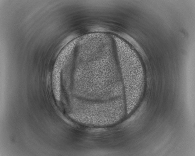 X0000113331337200910131141