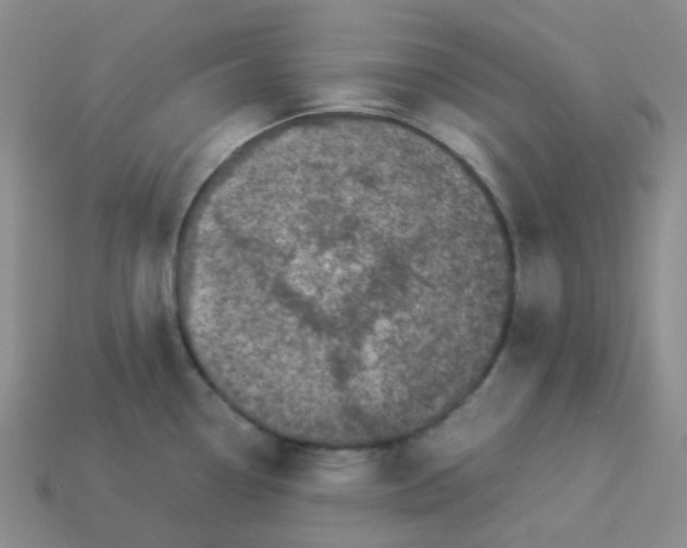 X0000113331338200910131141