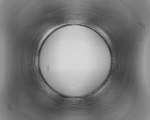 X0000113331340200910131141