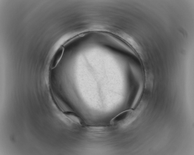 X0000113331342200910131141