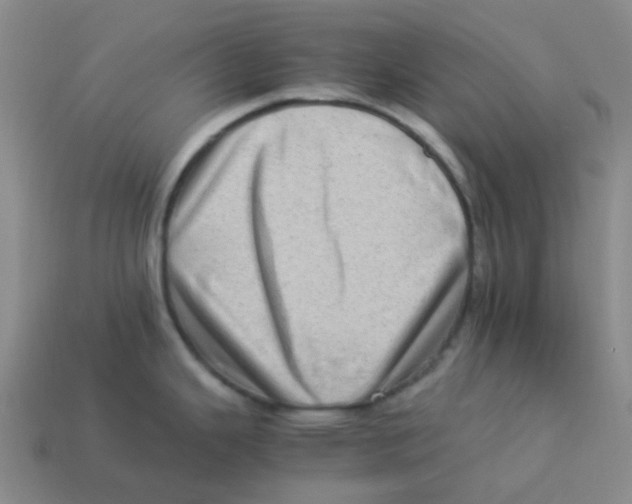 X0000113331343200910131141