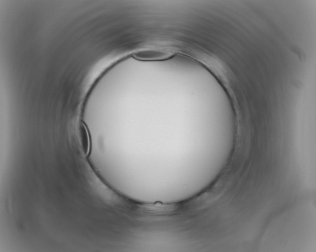 X0000113331344200910131141