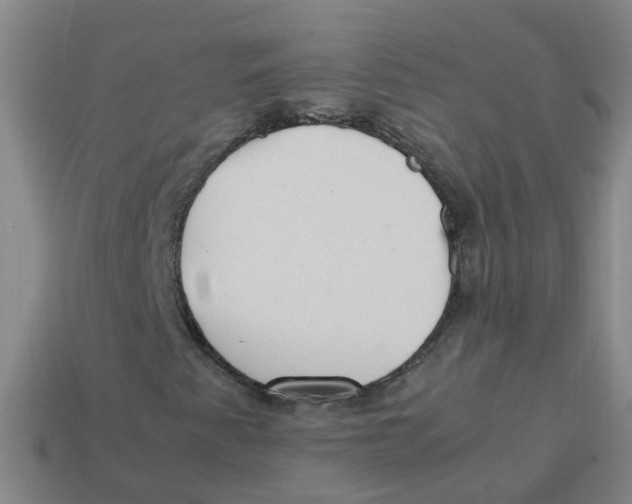 X0000113331345200910131140