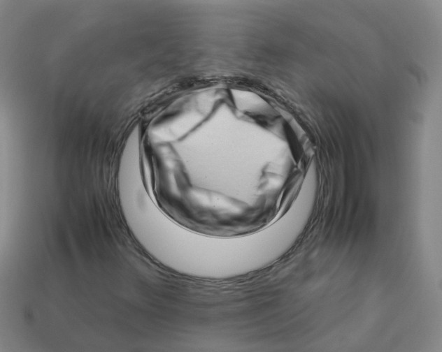 X0000113331348200910131140
