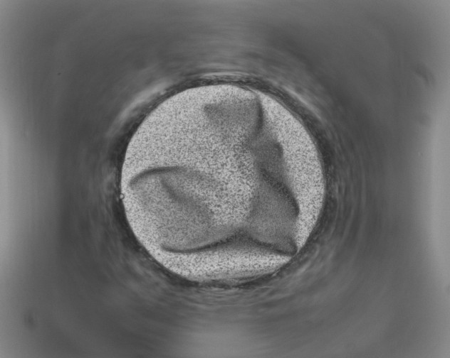 X0000113331351200910131140
